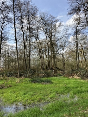 Medium property photo - Lage Kuilen, 6031 PJ Nederweert