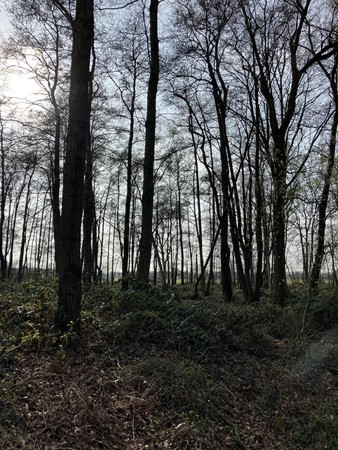 Medium property photo - Lage Kuilen, 6031 PJ Nederweert