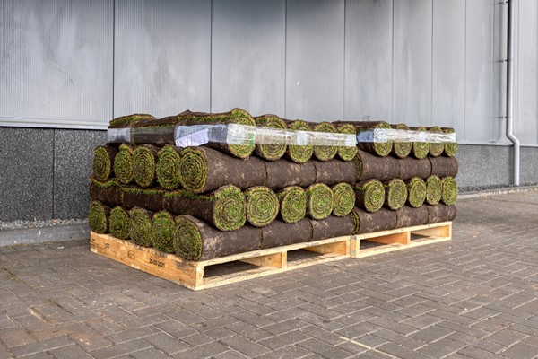 Medium property photo - Wolfsven 13, 5855 ER Well L