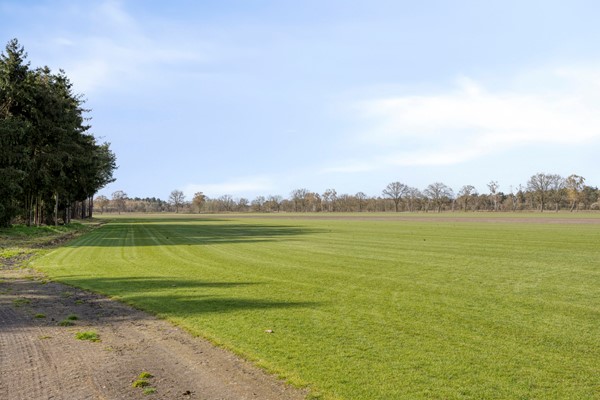 Medium property photo - Wolfsven 13, 5855 ER Well L