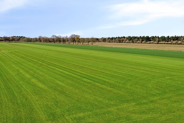 Medium property photo - Wolfsven 13, 5855 ER Well L