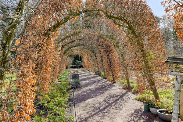 Medium property photo - Wolfsven 13, 5855 ER Well L