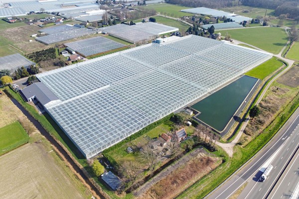 Medium property photo - De Mooyweg 62, 5916 RL Venlo