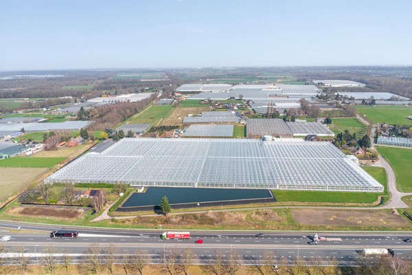 Medium property photo - De Mooyweg 62, 5916 RL Venlo