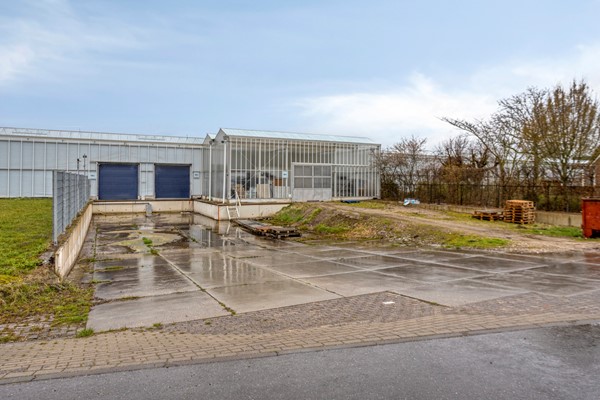 Medium property photo - De Mooyweg 62, 5916 RL Venlo