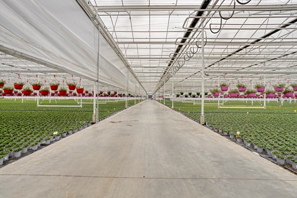 Medium property photo - De Mooyweg 62, 5916 RL Venlo