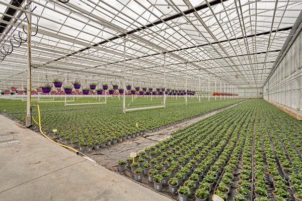 Medium property photo - De Mooyweg 62, 5916 RL Venlo