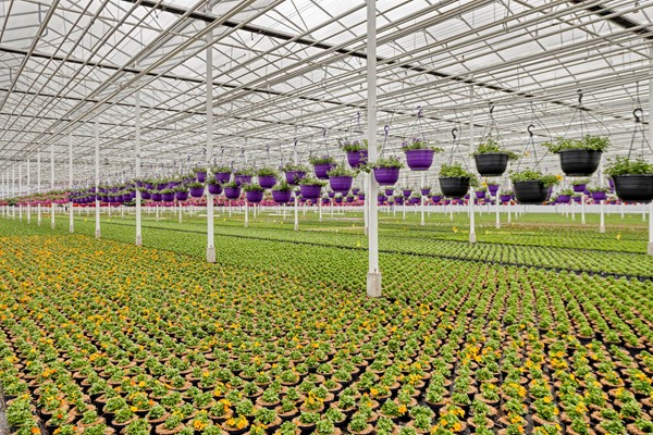 Medium property photo - De Mooyweg 62, 5916 RL Venlo