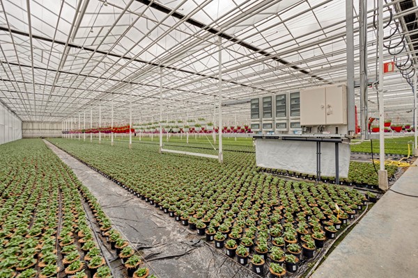 Medium property photo - De Mooyweg 62, 5916 RL Venlo