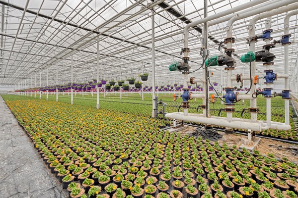 Medium property photo - De Mooyweg 62, 5916 RL Venlo