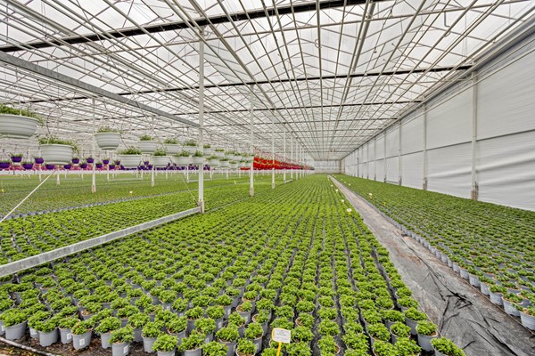 Medium property photo - De Mooyweg 62, 5916 RL Venlo