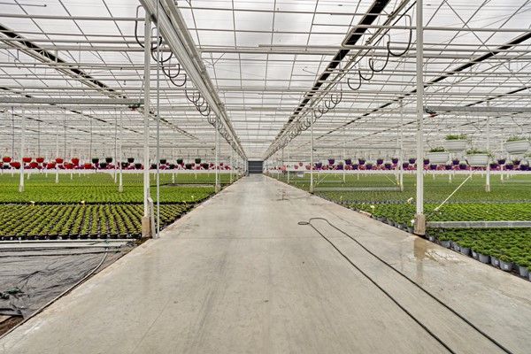 Medium property photo - De Mooyweg 62, 5916 RL Venlo