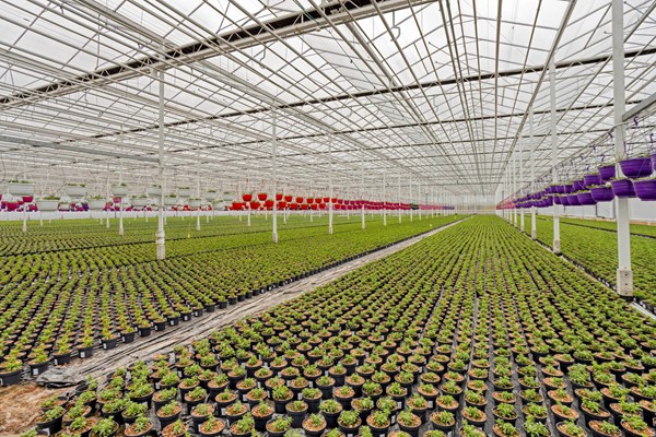 Medium property photo - De Mooyweg 62, 5916 RL Venlo