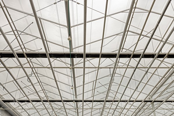 Medium property photo - De Mooyweg 62, 5916 RL Venlo