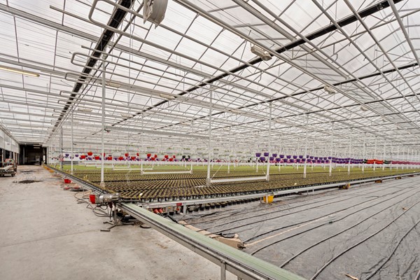 Medium property photo - De Mooyweg 62, 5916 RL Venlo