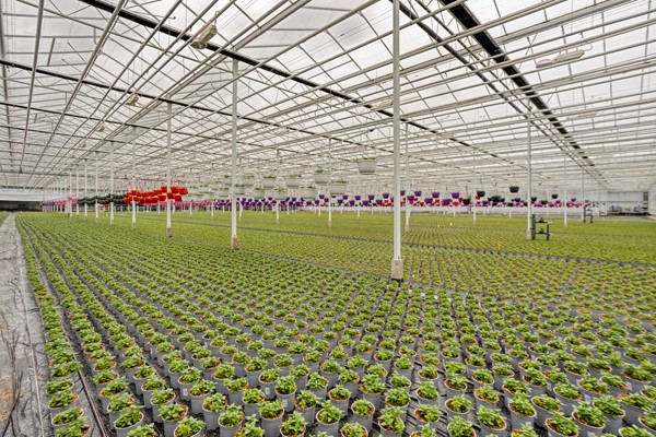 Medium property photo - De Mooyweg 62, 5916 RL Venlo