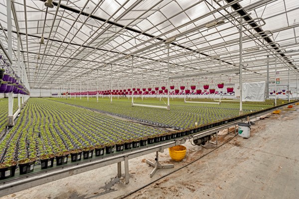 Medium property photo - De Mooyweg 62, 5916 RL Venlo