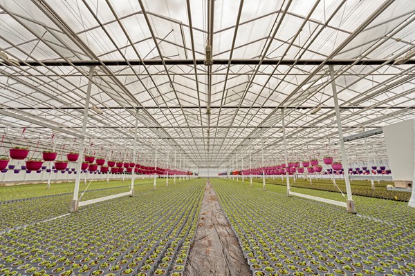 Medium property photo - De Mooyweg 62, 5916 RL Venlo