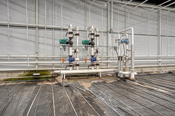 Medium property photo - De Mooyweg 62, 5916 RL Venlo