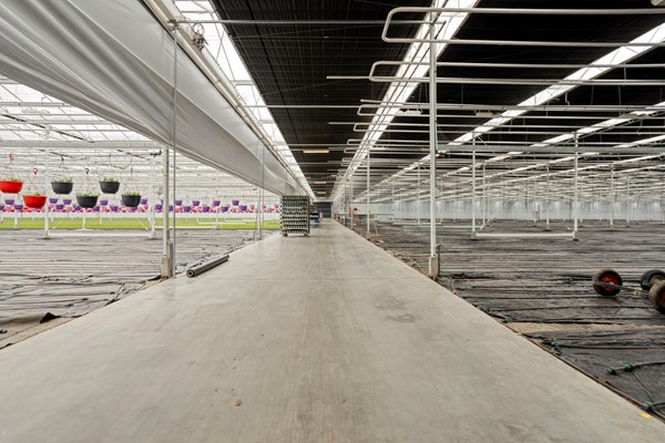 Medium property photo - De Mooyweg 62, 5916 RL Venlo