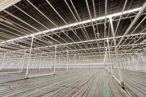 Medium property photo - De Mooyweg 62, 5916 RL Venlo