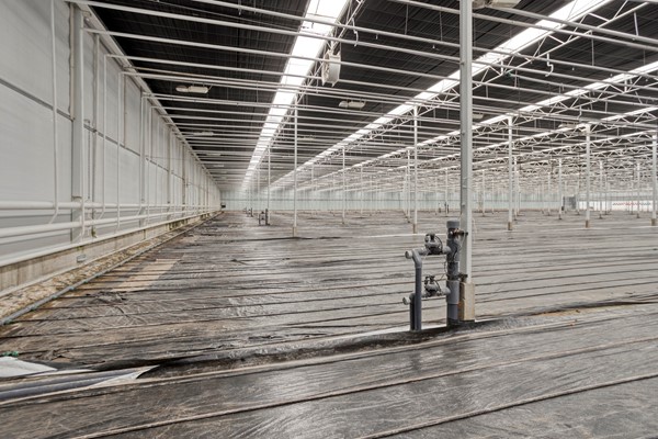 Medium property photo - De Mooyweg 62, 5916 RL Venlo