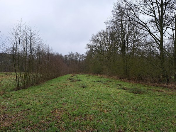 Medium property photo - nabij Grensweg, 6039 RS Stramproy