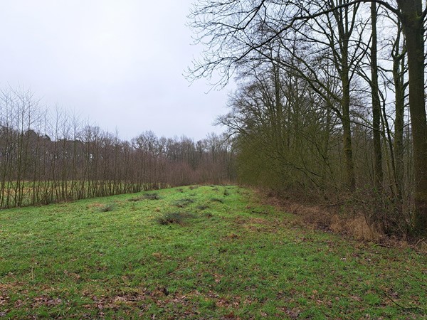 Medium property photo - nabij Grensweg, 6039 RS Stramproy