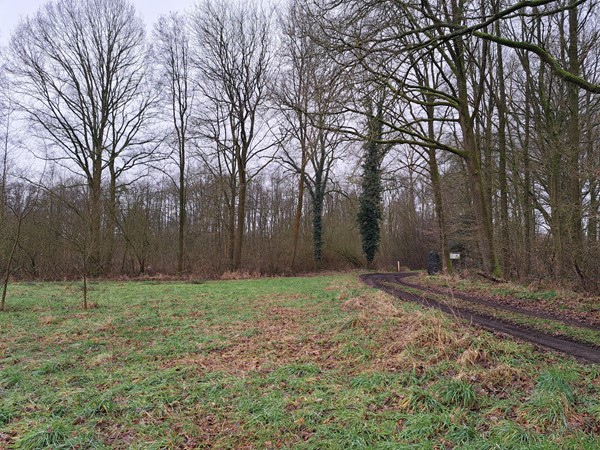 Medium property photo - nabij Grensweg, 6039 RS Stramproy