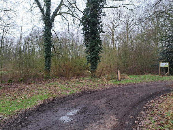 Medium property photo - nabij Grensweg, 6039 RS Stramproy