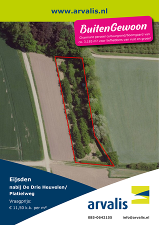 Brochure preview - 