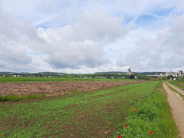 Medium property photo - Schansweg ong, 6245 SM Eijsden