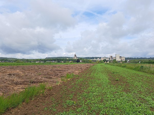 Medium property photo - Schansweg ong, 6245 SM Eijsden