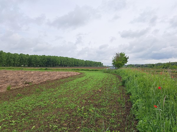 Medium property photo - Schansweg ong, 6245 SM Eijsden