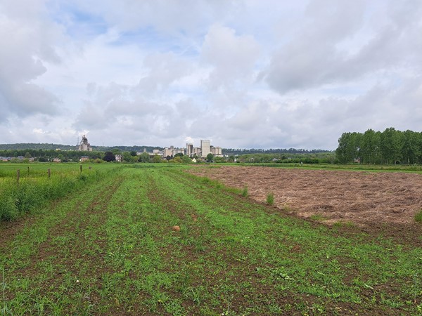 Medium property photo - Schansweg ong, 6245 SM Eijsden