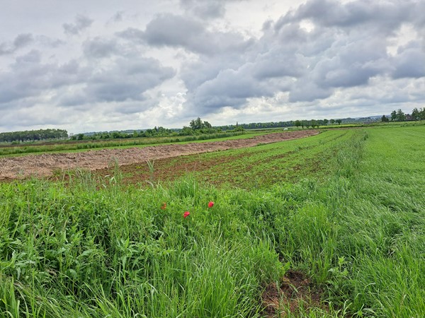 Medium property photo - Schansweg ong, 6245 SM Eijsden
