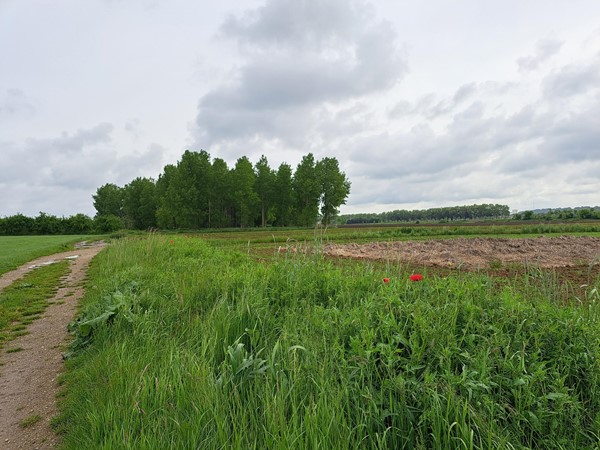 Medium property photo - Schansweg ong, 6245 SM Eijsden