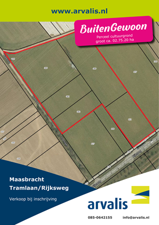 Brochure preview - 