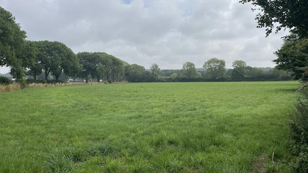 Medium property photo - Cuijksesteeg, 6587 AB Middelaar