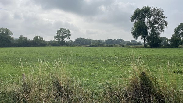 Medium property photo - Cuijksesteeg, 6587 AB Middelaar