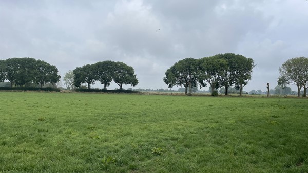 Medium property photo - Cuijksesteeg, 6587 AB Middelaar