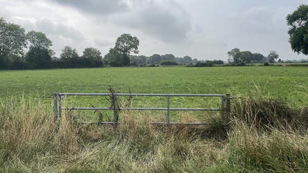 Medium property photo - Cuijksesteeg, 6587 AB Middelaar