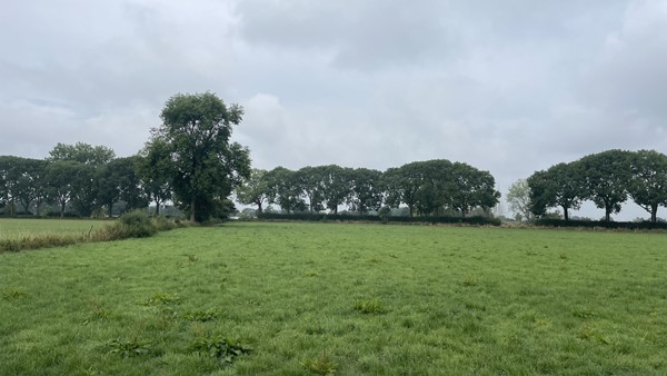 Medium property photo - Cuijksesteeg, 6587 AB Middelaar