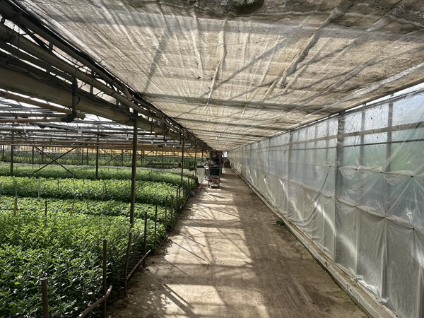 Medium property photo - Rietkampseweg 1a, 6687 LC Angeren