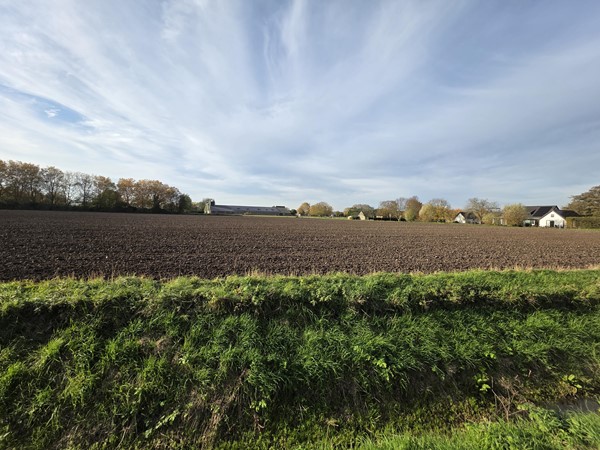 Medium property photo - Lingestraat, 6662 NN Elst