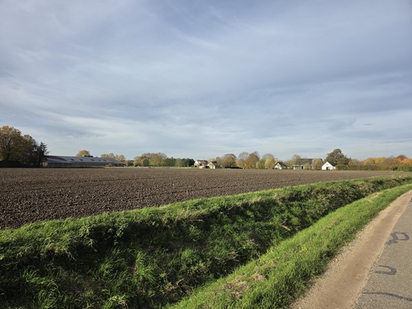 Medium property photo - Lingestraat, 6662 NN Elst