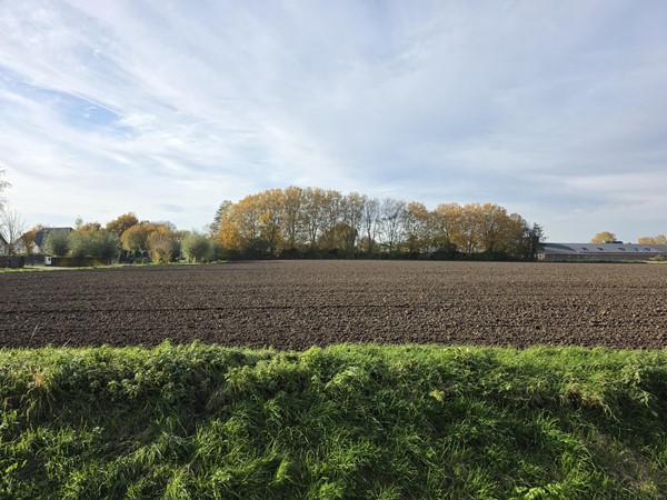 Medium property photo - Lingestraat, 6662 NN Elst