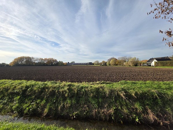 Medium property photo - Lingestraat, 6662 NN Elst