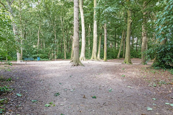 Medium property photo - Duinzichtstraat 3, 2341 BW Oegstgeest