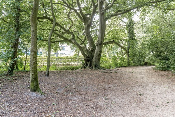 Medium property photo - Duinzichtstraat 3, 2341 BW Oegstgeest